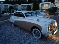 Soubor: DSC_2581.jpg